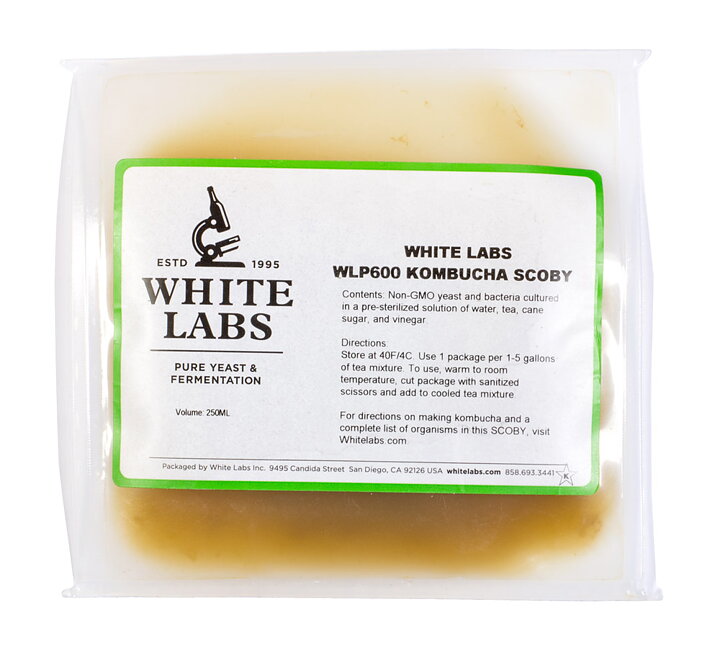 Humlegårdens Ekolager Kombucha Scoby White Labs Wlp600 Kombucha Scoby White Labs Wlp600