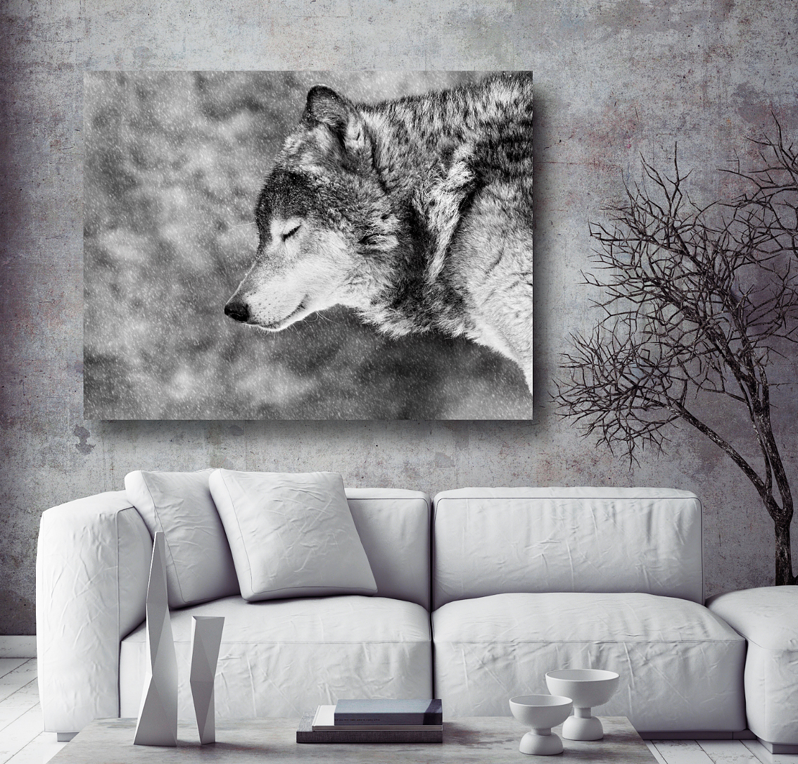 Sound Absorbing Wall Art Wolf Canvasbutik Com Sound Absorbing Wall Art Wolf