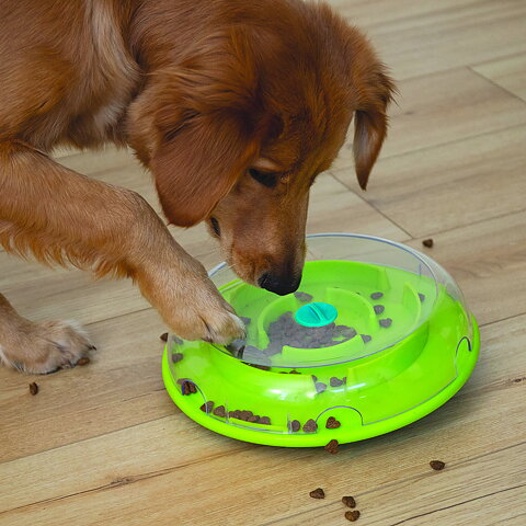 WOBBLE BOWL - SLOW FEEDER & DOG PUZZLE IN ONE - Nina ...